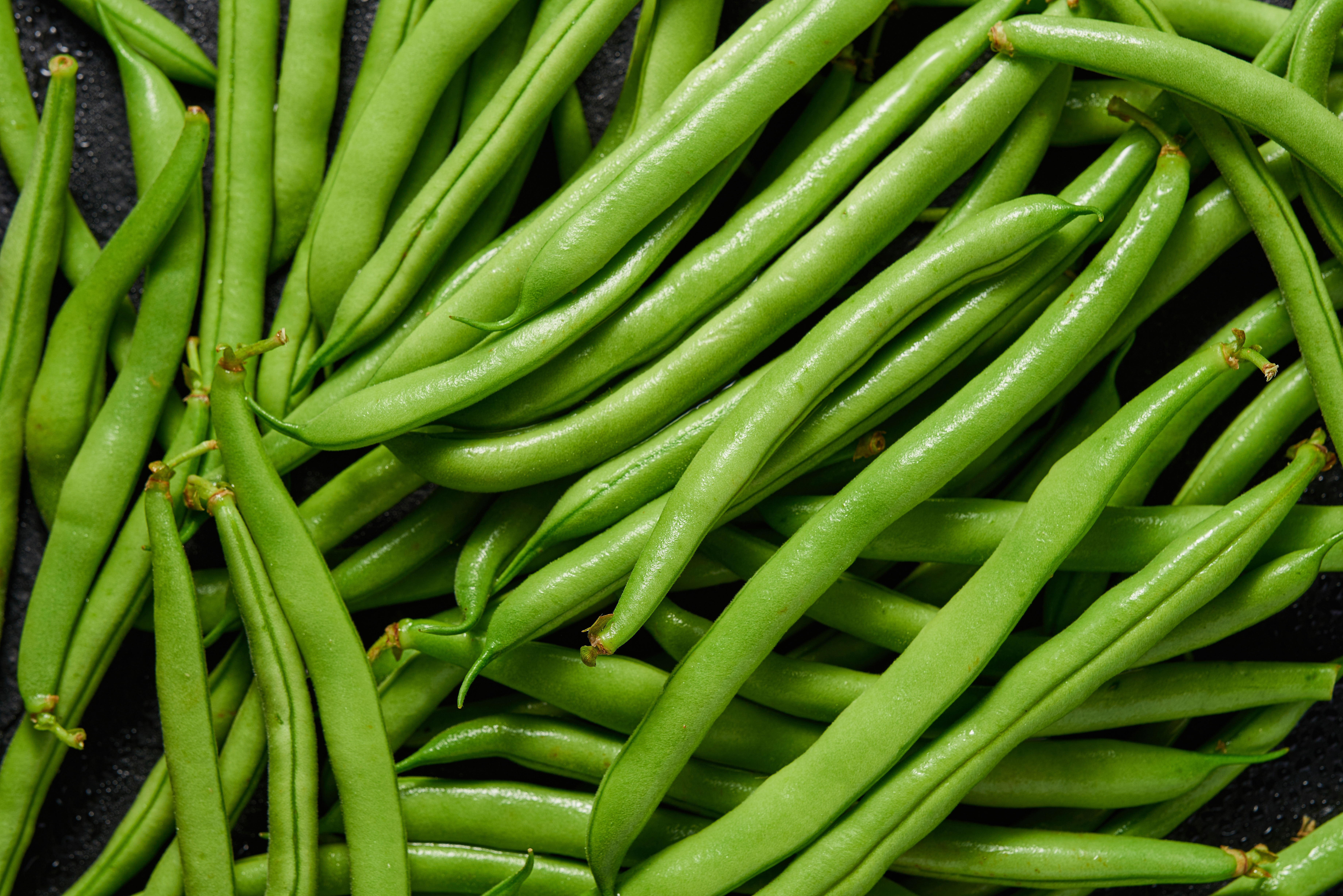 Haricots