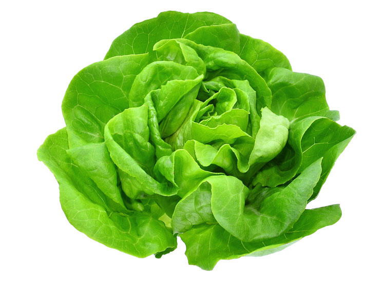 Salade