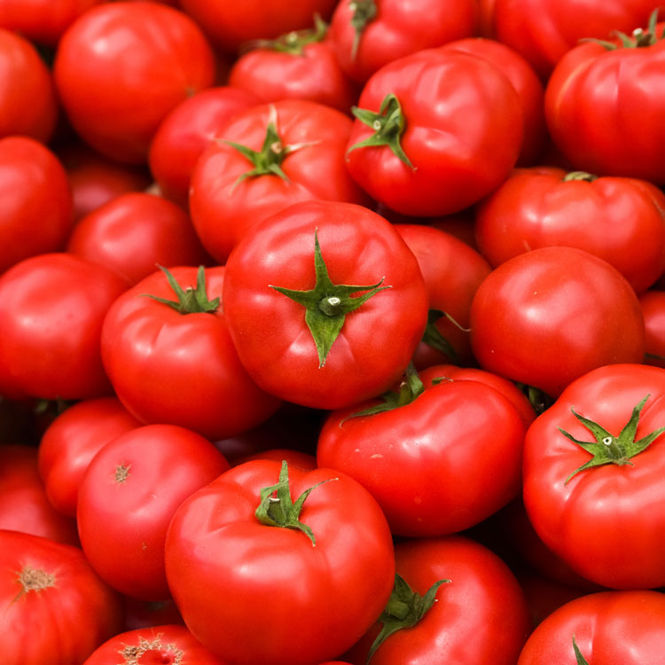Tomate