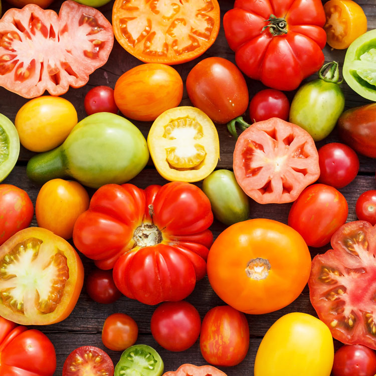 Tomate